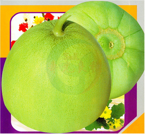 蜜宝甜瓜种籽薄皮绿肉甜脆蜜瓜香瓜春秋四季盆栽农家水果瓜果种子