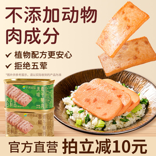 齐善素食佛家纯素午餐肉火腿素肉植物蛋白火锅三明治搭档食品大全