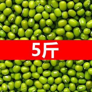 东北新绿豆5斤小绿豆去皮沙绿豆汤五谷杂粮笨绿豆新货