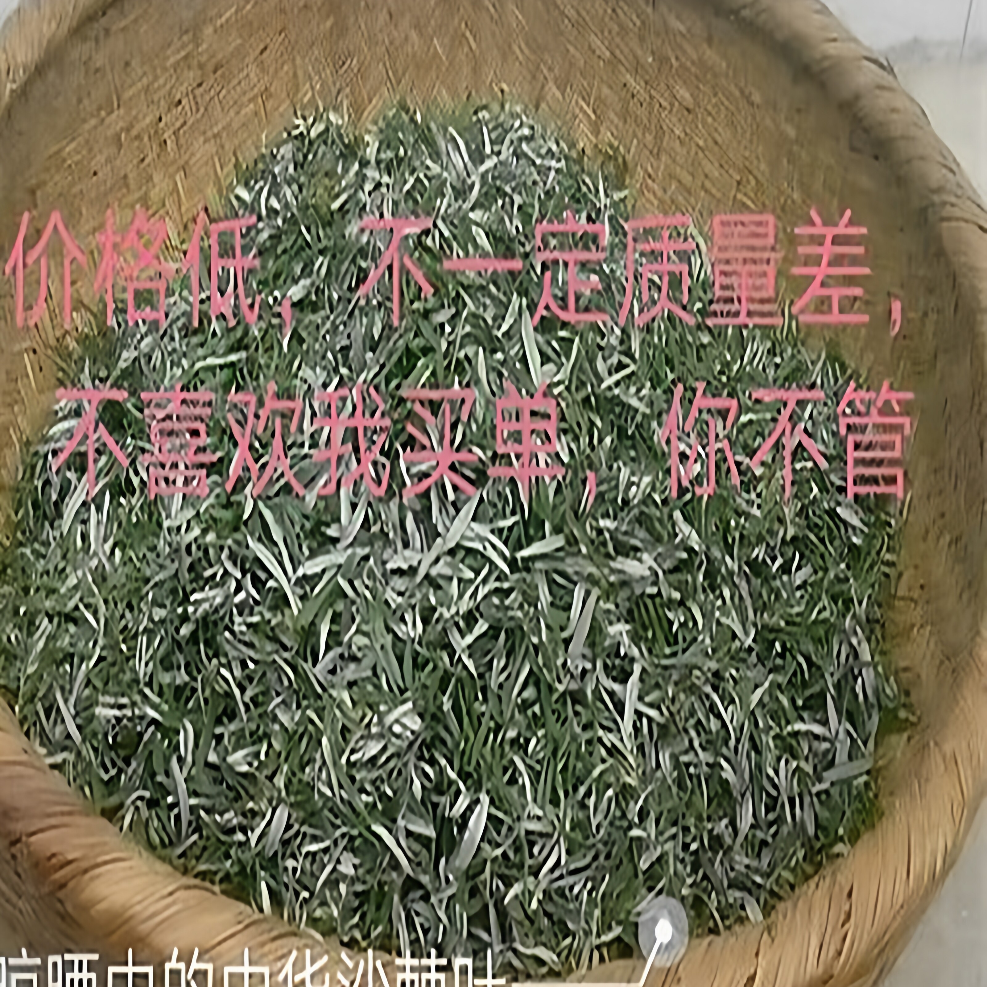 野生沙棘原叶新正品无添加高山沙棘嫩叶干泡水调理养生男女通用茶