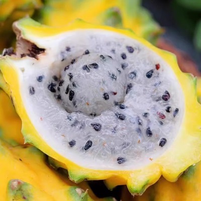 蛋婶儿三亚黄金燕窝果白心火龙果麒麟果新鲜海南特产水果礼盒纯甜