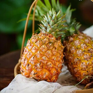 蛋婶儿海南火焰山金钻凤梨甜度高新鲜水果当季香水菠萝甜顺丰包邮