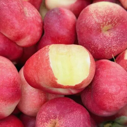新疆巨好吃的冰糖蟠桃蜜甜多汁