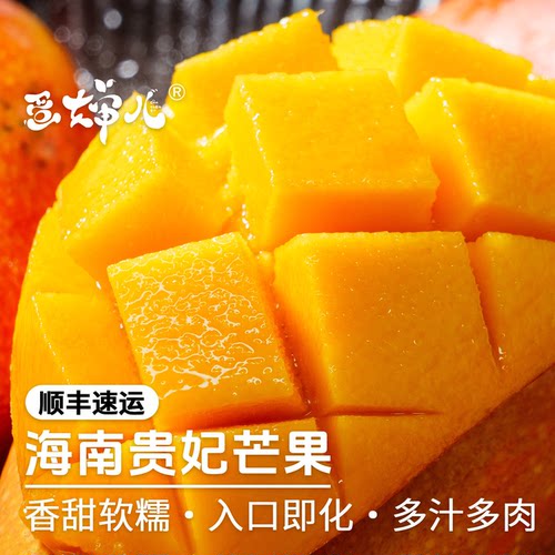 活动中！蛋婶儿树熟贵妃芒海南芒果新鲜水果应季当季水果礼盒整箱