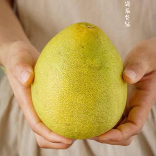 蛋婶儿台湾老树文旦柚新鲜当季孕妇水果白心蜜柚小小个柚子整箱