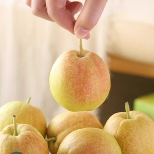 蛋婶儿库尔勒香梨梨子新鲜水果正宗新疆特产当季礼盒孕妇水果多汁