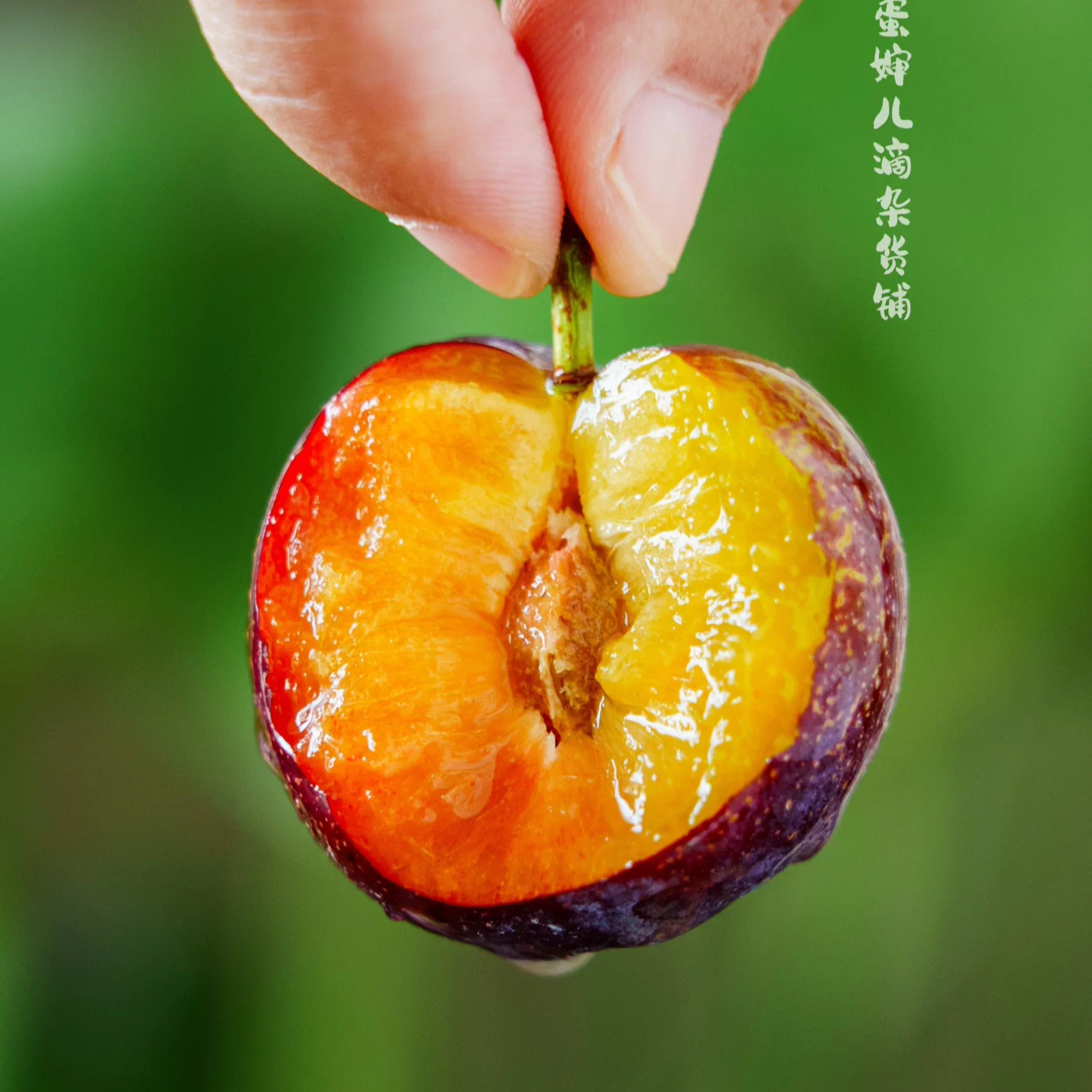 蛋婶儿羌脆黑珍珠李新鲜当季时令水果李子脆红李脱骨李京东空运