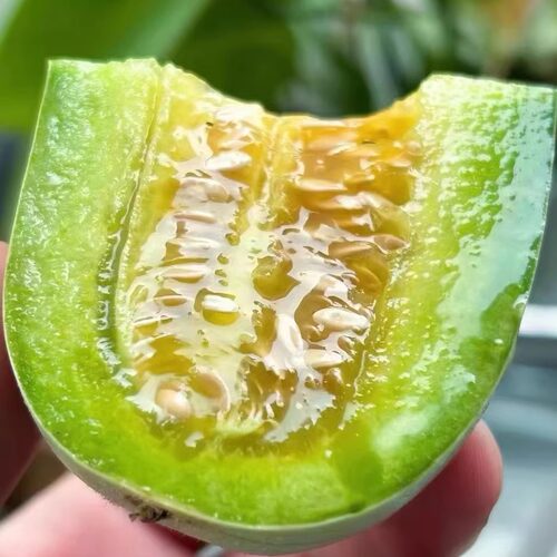 蛋婶儿博洋72蜜瓜甜瓜羊角蜜香瓜新鲜水果山东当季时令自然熟顺丰