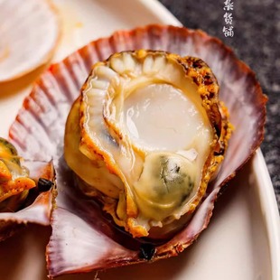 蛋婶儿五彩栉孔扇贝海鲜水产鲜活肥美大贝壳清蒸小贝壳京东
