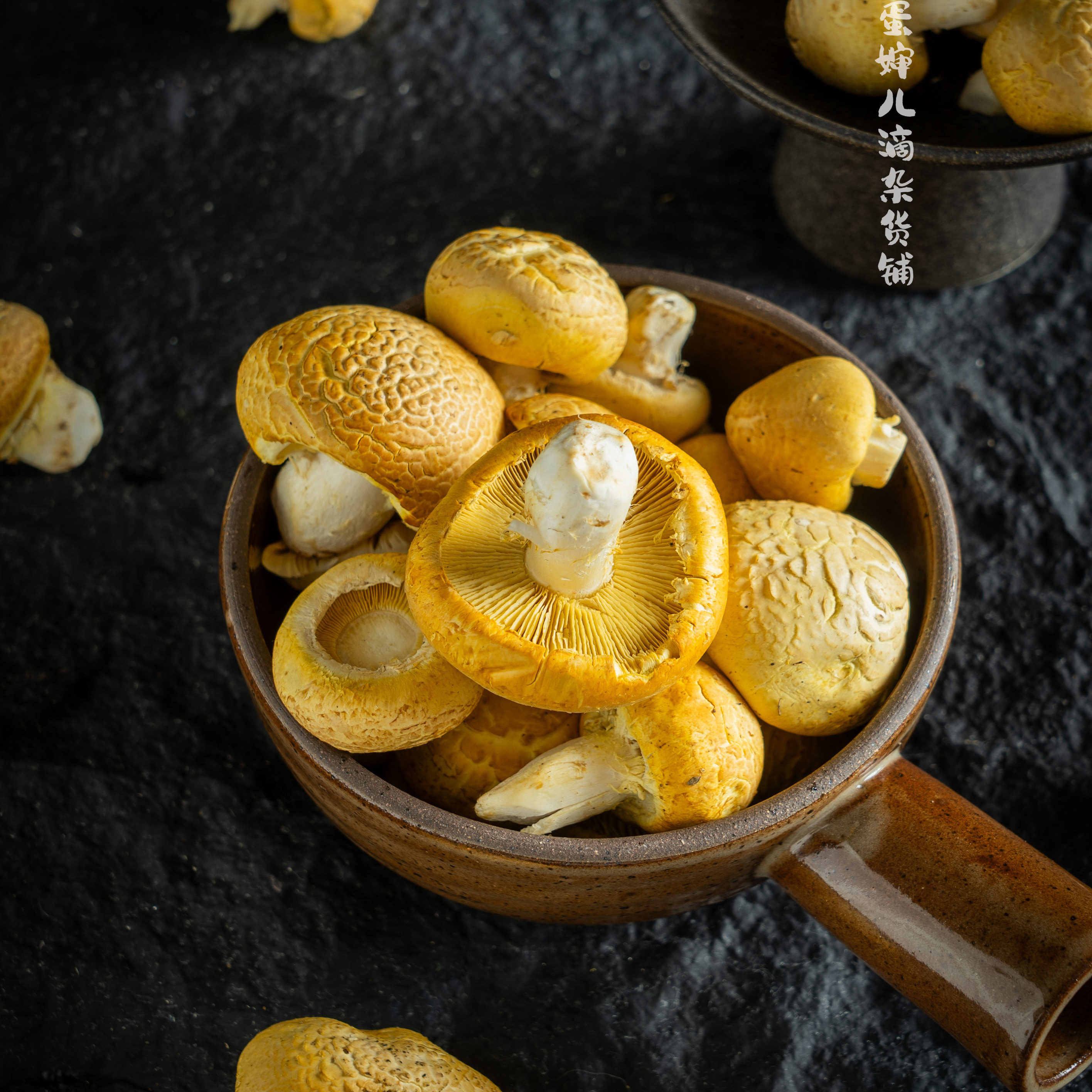 蛋婶儿2026黄蘑菇石渠白菌新鲜藏区特产菌子炒菜煲汤少量礼盒顺丰