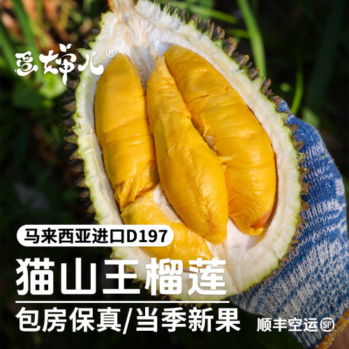 马来西亚猫山王榴莲香甜微苦