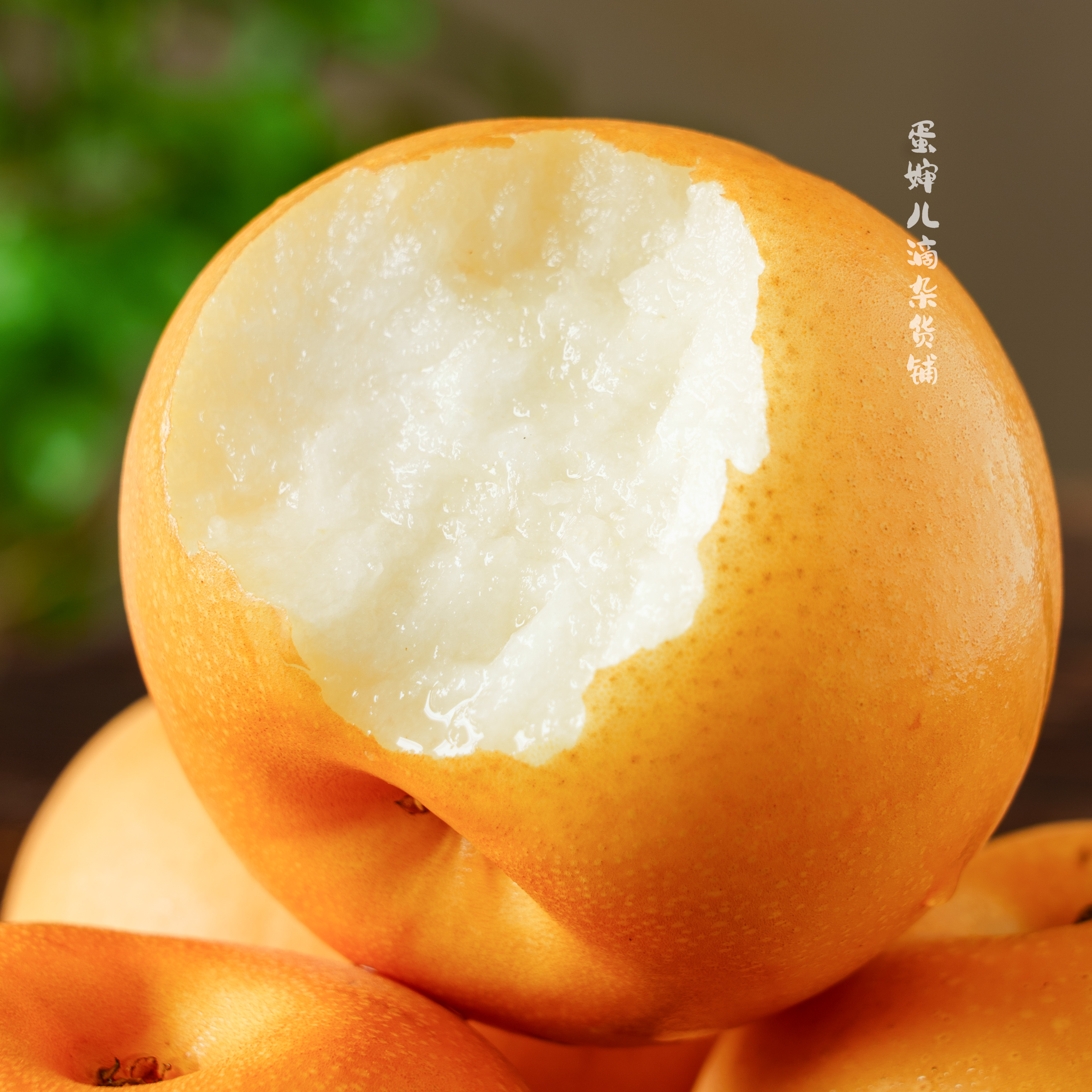 蛋婶儿正宗山东秋月梨现摘现发冰糖梨子当季时令水果雪梨蜜梨中秋