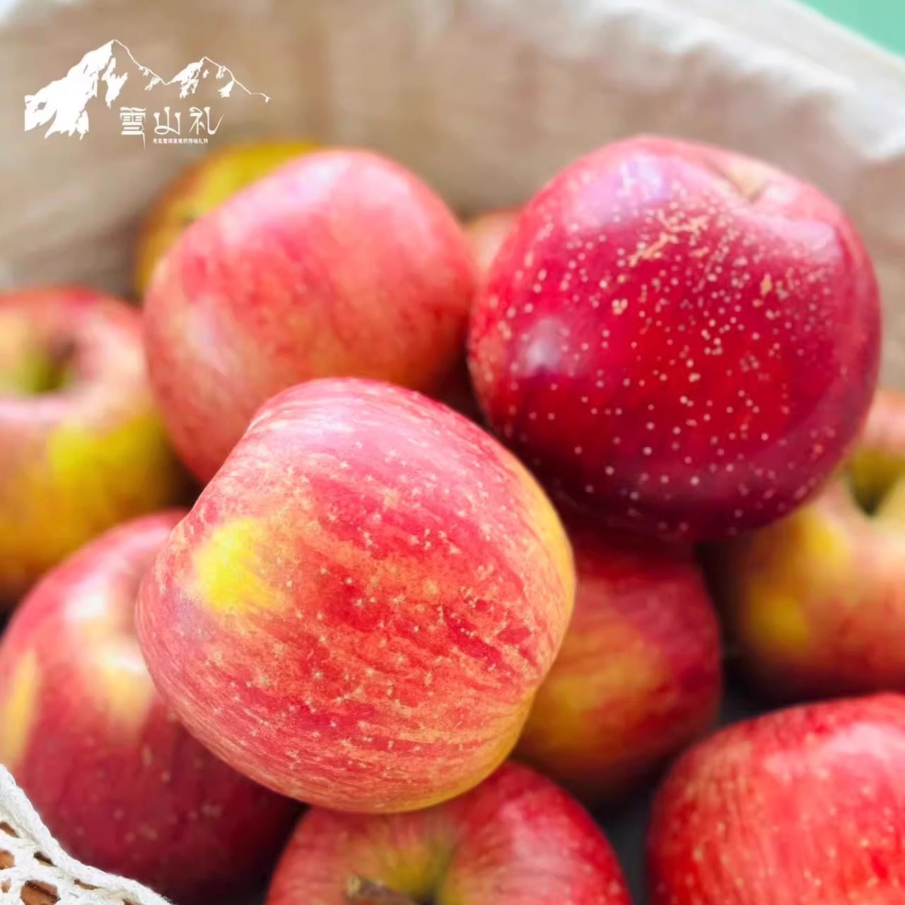 雪山孕育的礼物雪山礼苹果