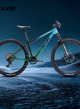 xds喜德盛25新款MT2山地车碳纤维山地自行车越野竞技竞赛级山地车
