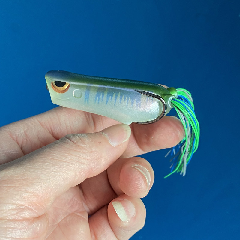 欧美品牌路亚饵水面系波爬雷蛙6厘米15克鲈鱼黑鱼假饵gamakatsu钩