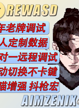 Ayo 转换器数据AX200 pro rewasd硬件APEX英雄一对一远程调试定制