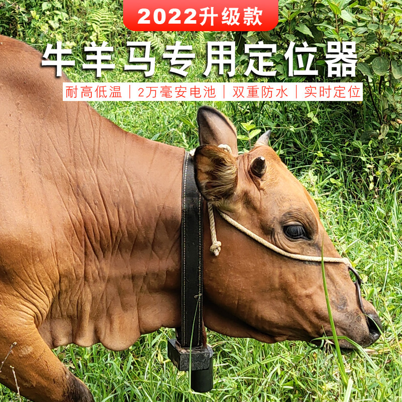 牛羊定位器山区放牧专用gps卫星追踪神器订位马动物防水防丢追跟j