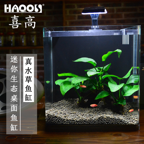 小鱼缸创意迷你水族箱小鱼缸玻璃
