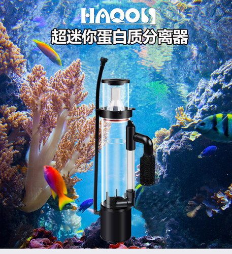 蛋白质海水缸蛋白质分离器
