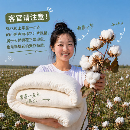 新疆棉被纯棉花被子被芯手工棉絮床垫被褥子加厚保暖全棉单人冬被