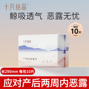 十月结晶产妇卫生巾产后专用产褥期孕妇排恶露计量加长型月子用品