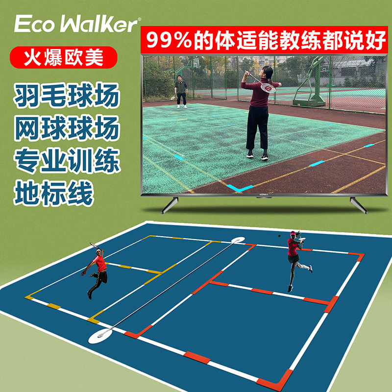 专业羽毛球训练器材标志碟