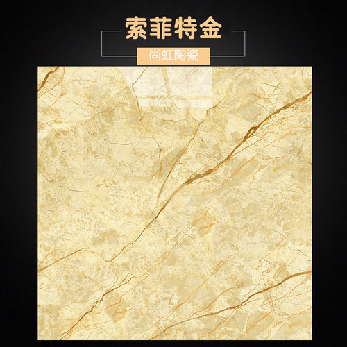 金黄色客厅地砖800x800