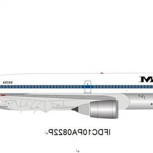 预:Inflight 1:200 飞机模型 合金 泛美航空 麦道DC-10-30 N82NA