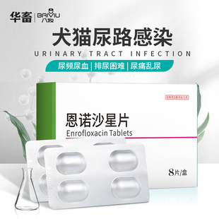 八牧拜有利恩诺沙星猫用狗用泌尿系统药尿路感染消炎药片利尿通猫