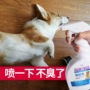 Pet dog khử trùng khử mùi khử mùi mèo và chó để nước tiểu nếm mèo trừ mùi hôi ngoại trừ mùi nước tiểu khử trùng - Cat / Dog Beauty & Cleaning Supplies Con lăn tĩnh điện ChomChom Roller.
