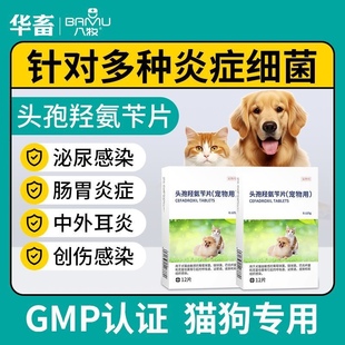 华畜头孢羟氨苄片宠物狗狗猫咪脓皮症伤口消炎感冒药尿路感染尿血