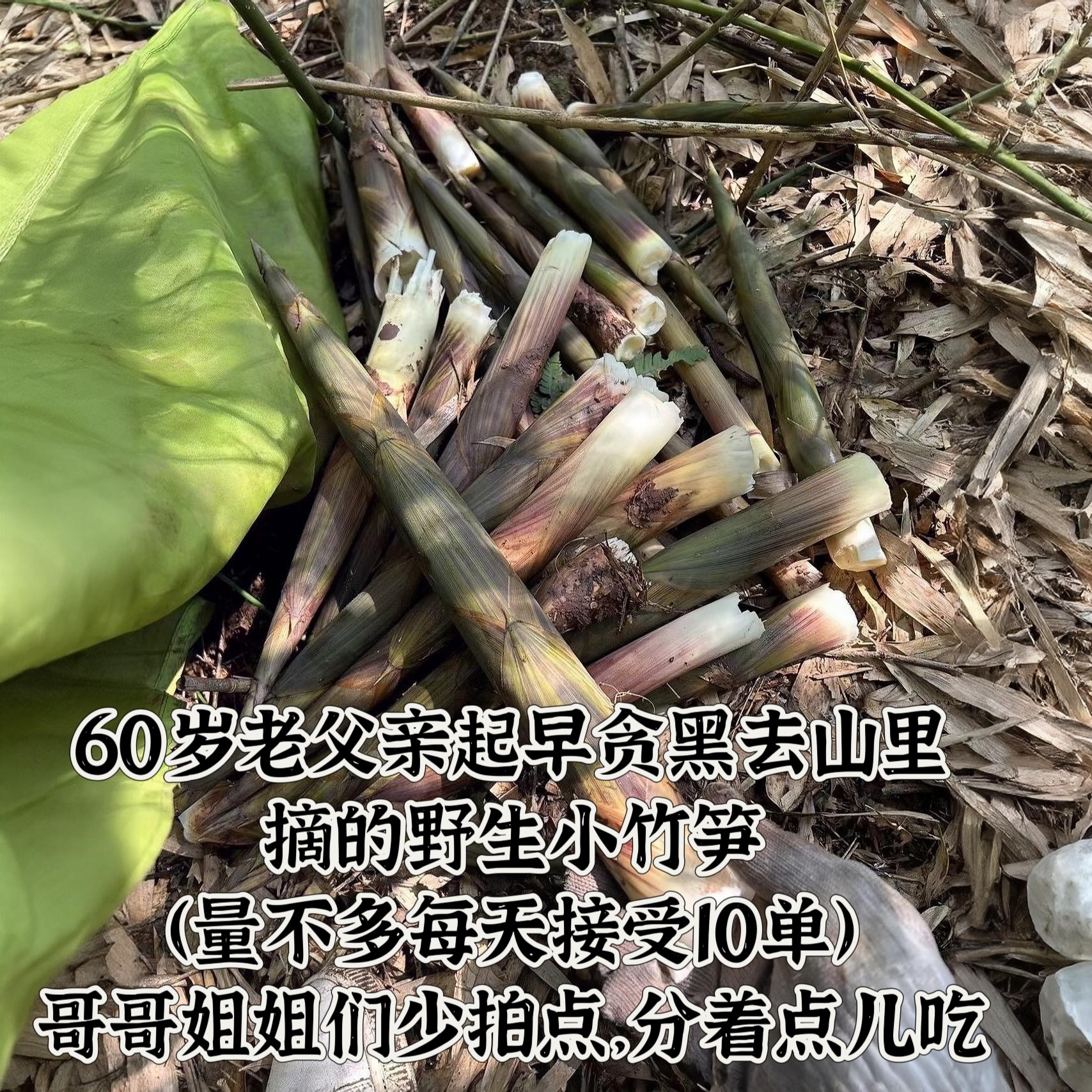 （每天10单先买先发）贵州野生新鲜水竹笋小竹笋当季现摘现发带壳
