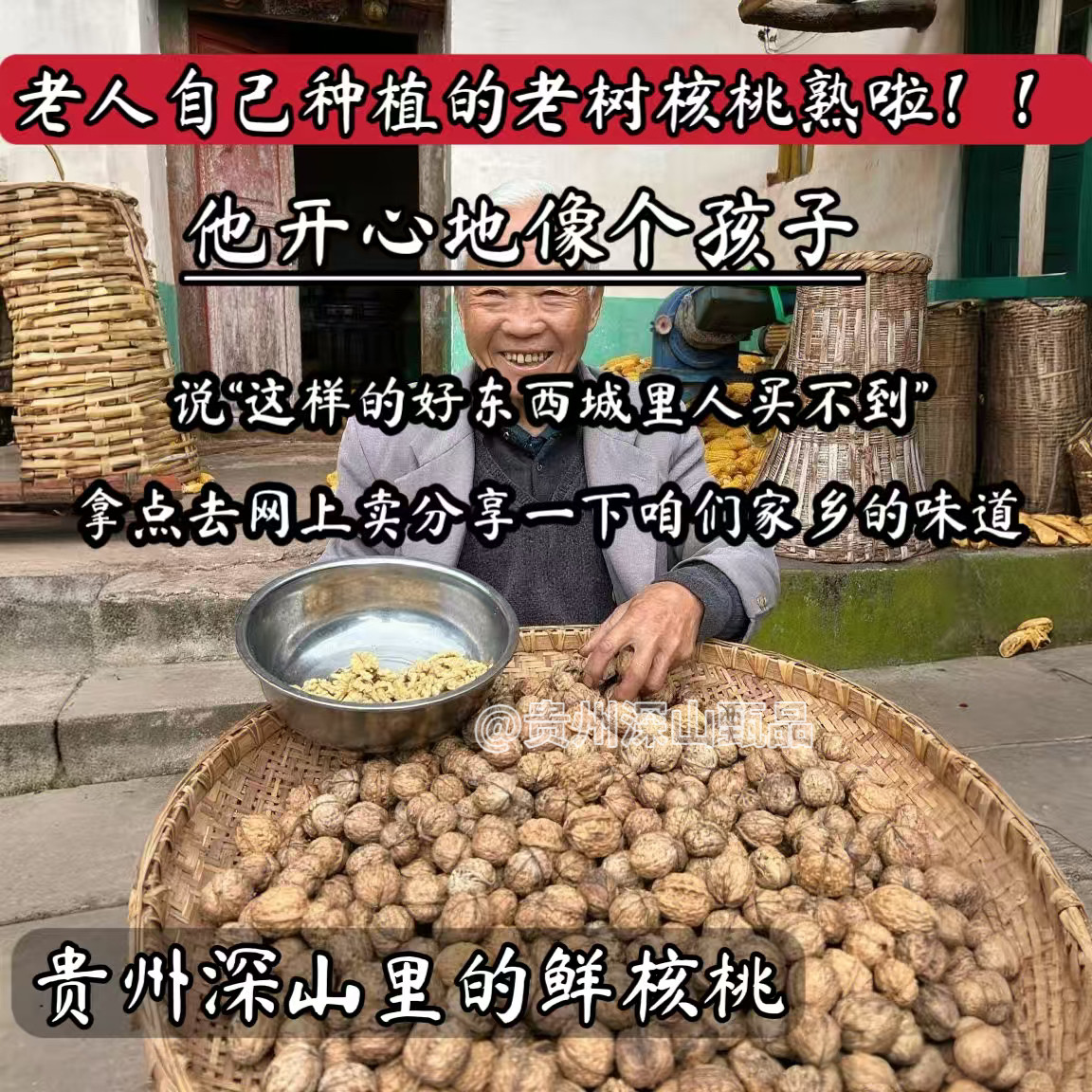 （老百姓手工去壳）农家老树核桃自然生长丑核桃老品种核桃