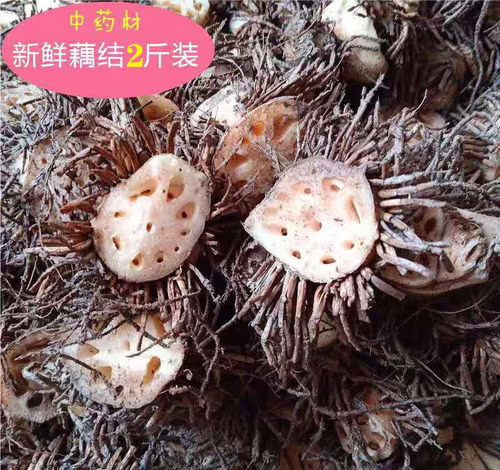 山东特产新鲜藕结现挖熬汤1000