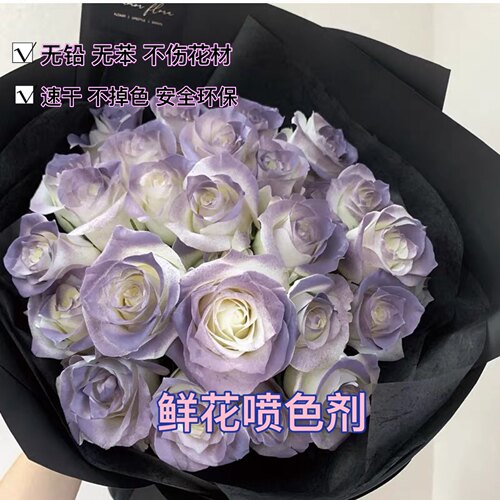 花店专用人鱼姬喷漆花妍色