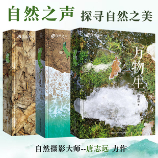 自然之声陆上水中+万物生+虫语精装全3册唐志远著 中国国家地理御用自然摄影师1500幅作品展示生物的科普知识摄影故事张辰亮推荐