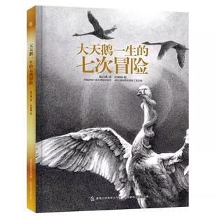 916岁儿童成长励志小说 七次冒险精 中小学生四五年级典藏文学课外 沈石溪动物小说系列单本大天鹅一生 正版