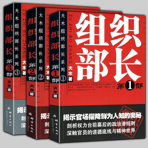 组织部长大木著当代官场职场小说