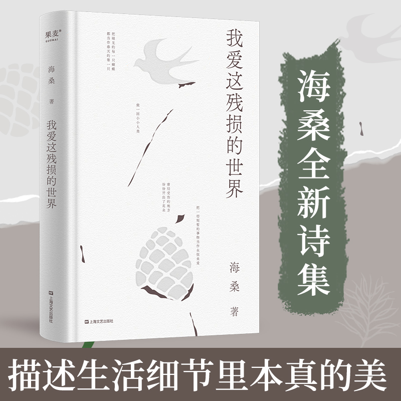 我爱这残损的世界海桑全新诗集