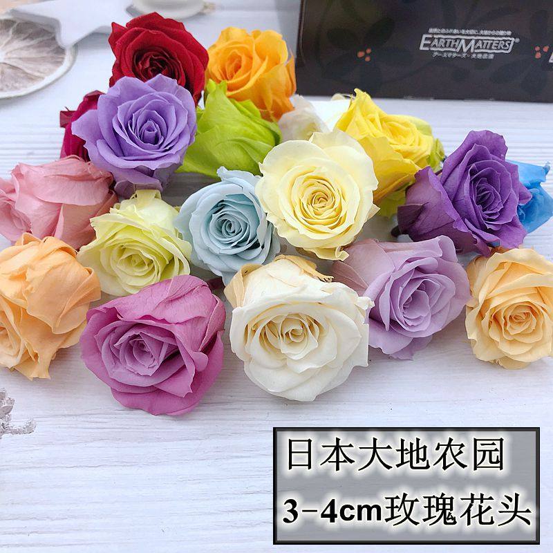 (清仓)日本大地进口永生花玫瑰花3-4cm花材diy制作03480系列