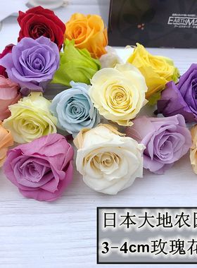 （清仓）日本大地进口永生花玫瑰花3-4cm花材diy制作03480系列