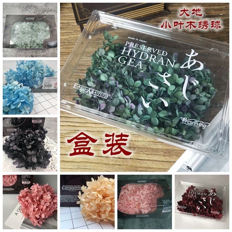 整（盒装）日本进口大地农园TOKA绣球diy永生花材料包手工制作 鲜花速递/花卉仿真/绿植园艺 永生花 原图主图