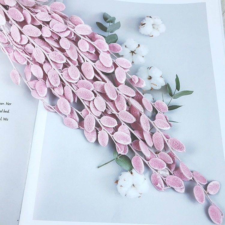 日本进口大地品牌永生花保鲜花配材永生瓜子花礼盒diy手工制作