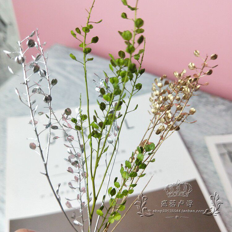 绿扇金扇叶永生花diy材料金色银色绿色干叶子文艺拍照道具配材