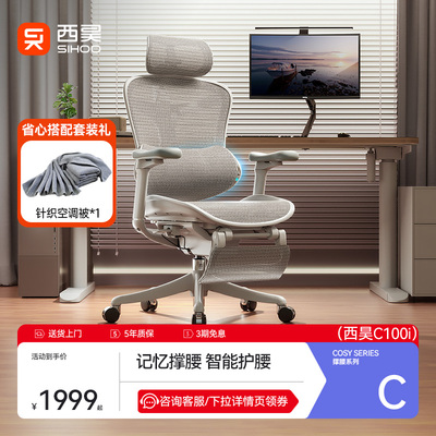 C300i/C100套装人体工学椅撑腰办公椅电竞椅老板椅