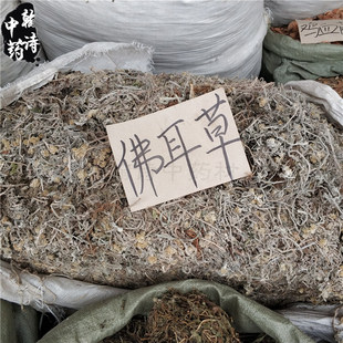 500克包邮鼠曲草 中药材追骨风鼠耳无心草鼠耳草佛耳草绒毛草