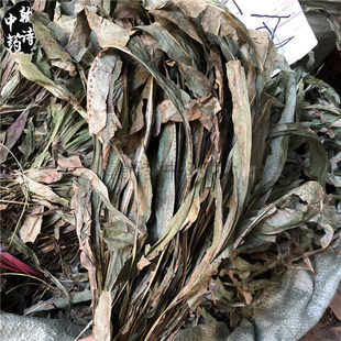 500克包邮中药材七星剑七星草小叶骨牌草 丹瓦剑草