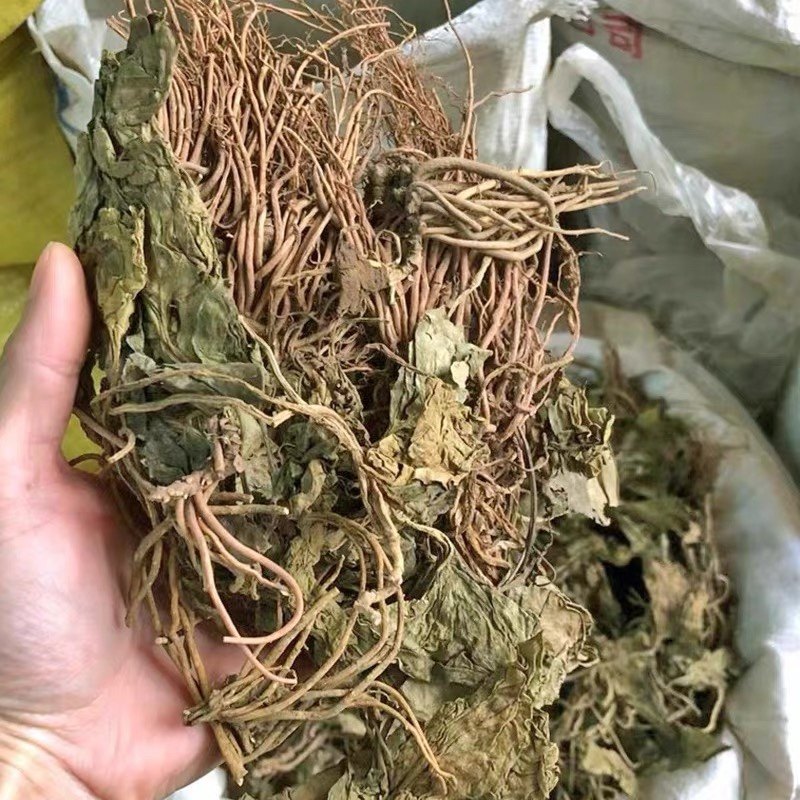 金耳环500g克野生土细辛中药材南细辛广西瑶药中草药一块瓦细辛