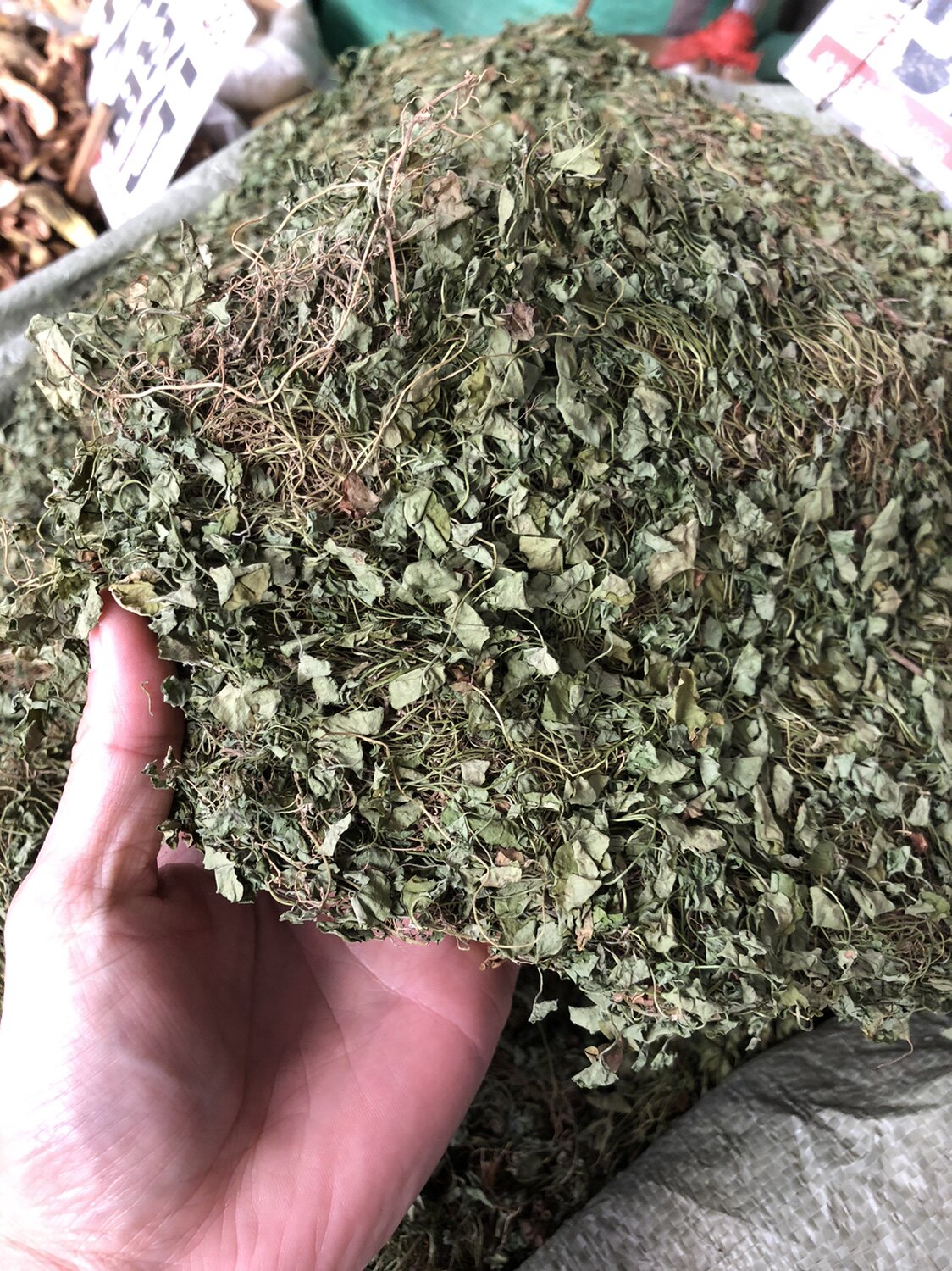 金钱草500克小叶广金钱草药材化石茶马蹄金溶石草