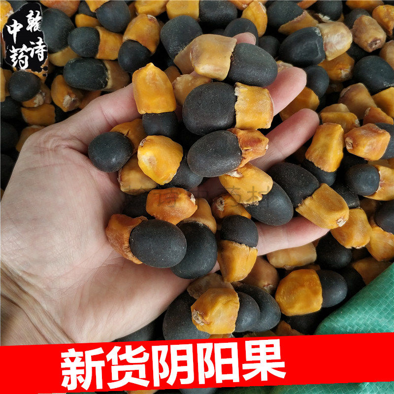 中药材阴阳果阴阳子 500克包邮苗药中草药泡酒料药酒料